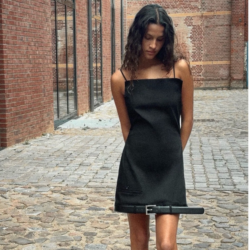 Zara belted mini Dress